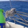 bombola in vetroresina con propano 10kg Bbox - NON SPEDIBILE